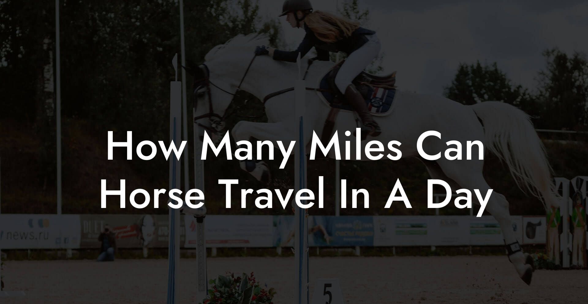 Horse Travel Distance: How Far Can Horses Journey in a Day