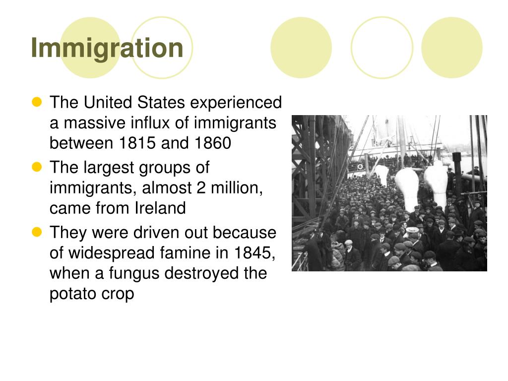 Immigration and Religious Diversity: How Newcomers Transform Spiritual Landscapes