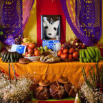 DÃ­a de los Muertos for Pets: Honoring Animal Companions in Mexican Tradition