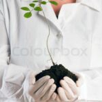 Laboratory Ecosystems: Why Ecologists Create Artificial Environments