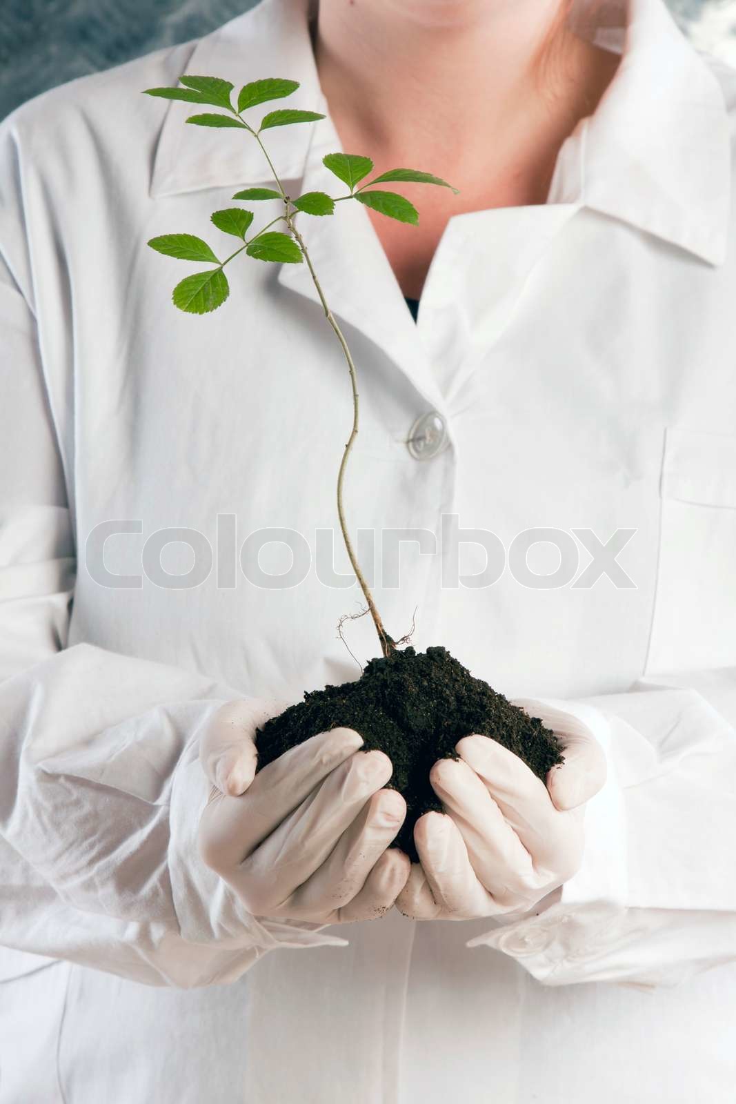 Laboratory Ecosystems: Why Ecologists Create Artificial Environments