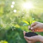 Natural Sciences Classification: Understanding Scientific Disciplines