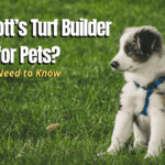 Lawn Care Safety: Protecting Your Pets from Common Yard Products
