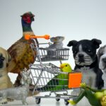 Walmart Pet Policy: What You Need to Know About Bringing Animals Inside
