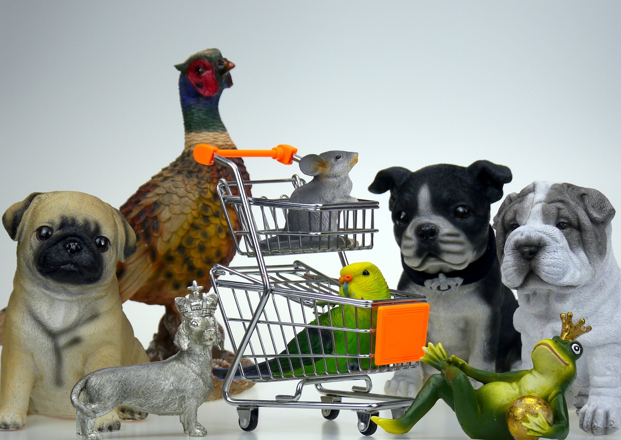 Walmart Pet Policy: What You Need to Know About Bringing Animals Inside