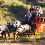 Horse Travel Distance: How Far Can Horses Travel in a Day