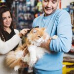 Where to Buy Smalls Cat Food: Complete Guide to Finding Premium Feline Nutrition