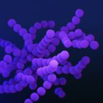 AI-Driven Drug Discovery: Shaping the Next Era of Pharma Innovation