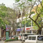Unlocking Real Estate Potential: Opportunities in Suburban Retail Centers