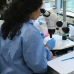 The Future of Pet DNA Testing: Navigating Innovation, Insight, and Responsible Ownership